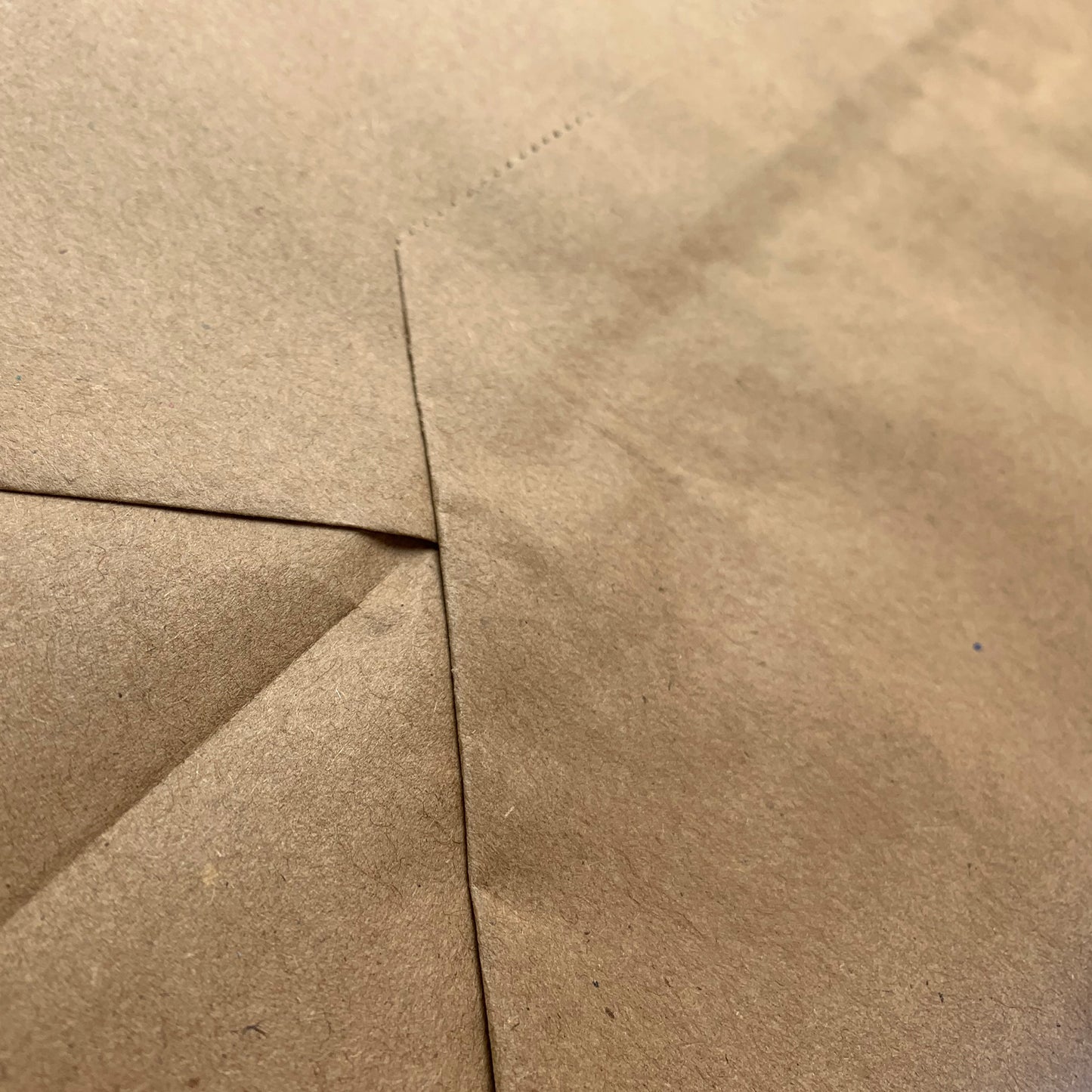 extra large brown food delivery paper bags