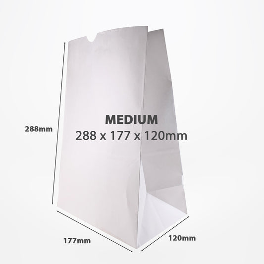 medium white paper bag sizes dimensions