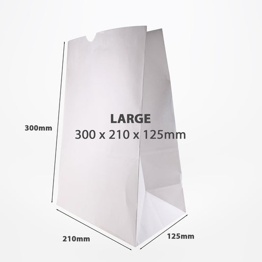 large white paper bag sizes dimensions